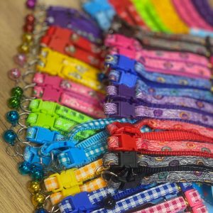 قلاده گردنی گربه