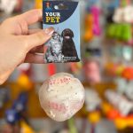 اسباب بازی توپ ژله ایی مخصوص سگ‌ و گربه