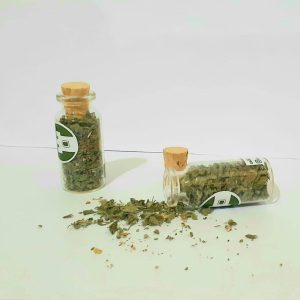 گیاه کت نیپ گربه