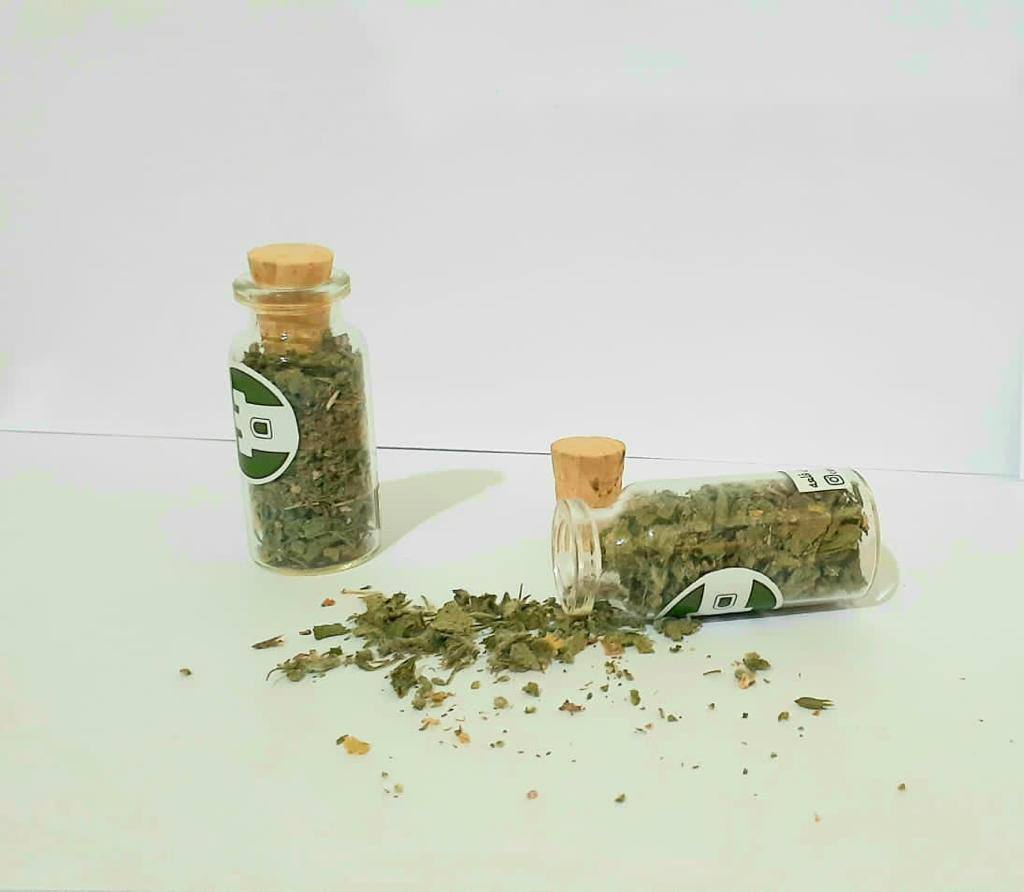 گیاه کت نیپ گربه