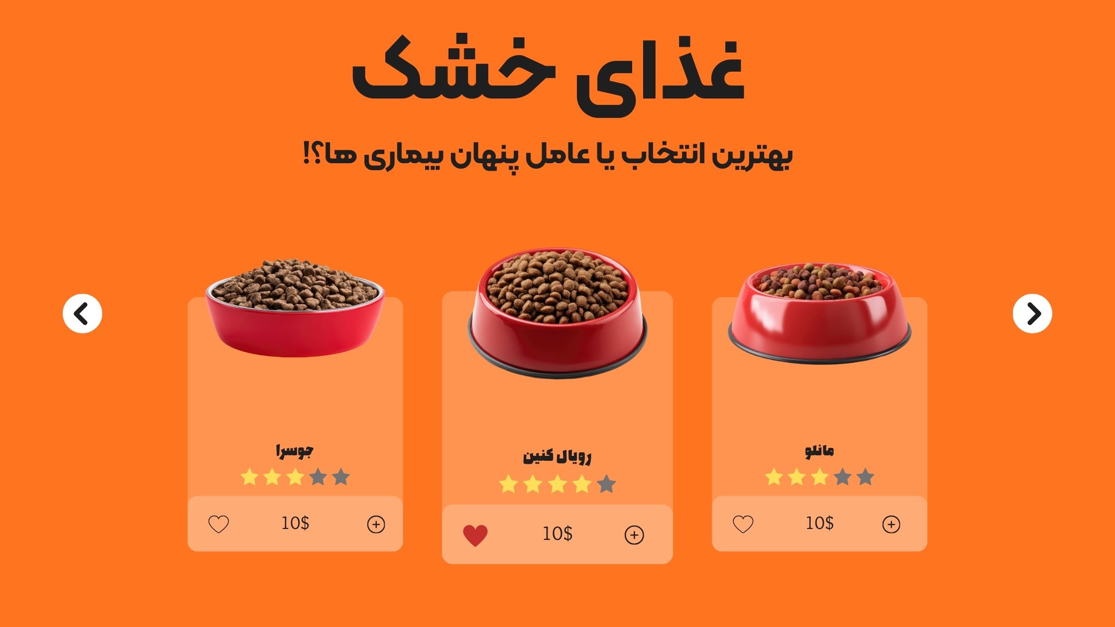 غذای خشک؛ راه‌حل استاندارد یا عامل پنهان بیماری‌های شایع حیوانات خانگی؟