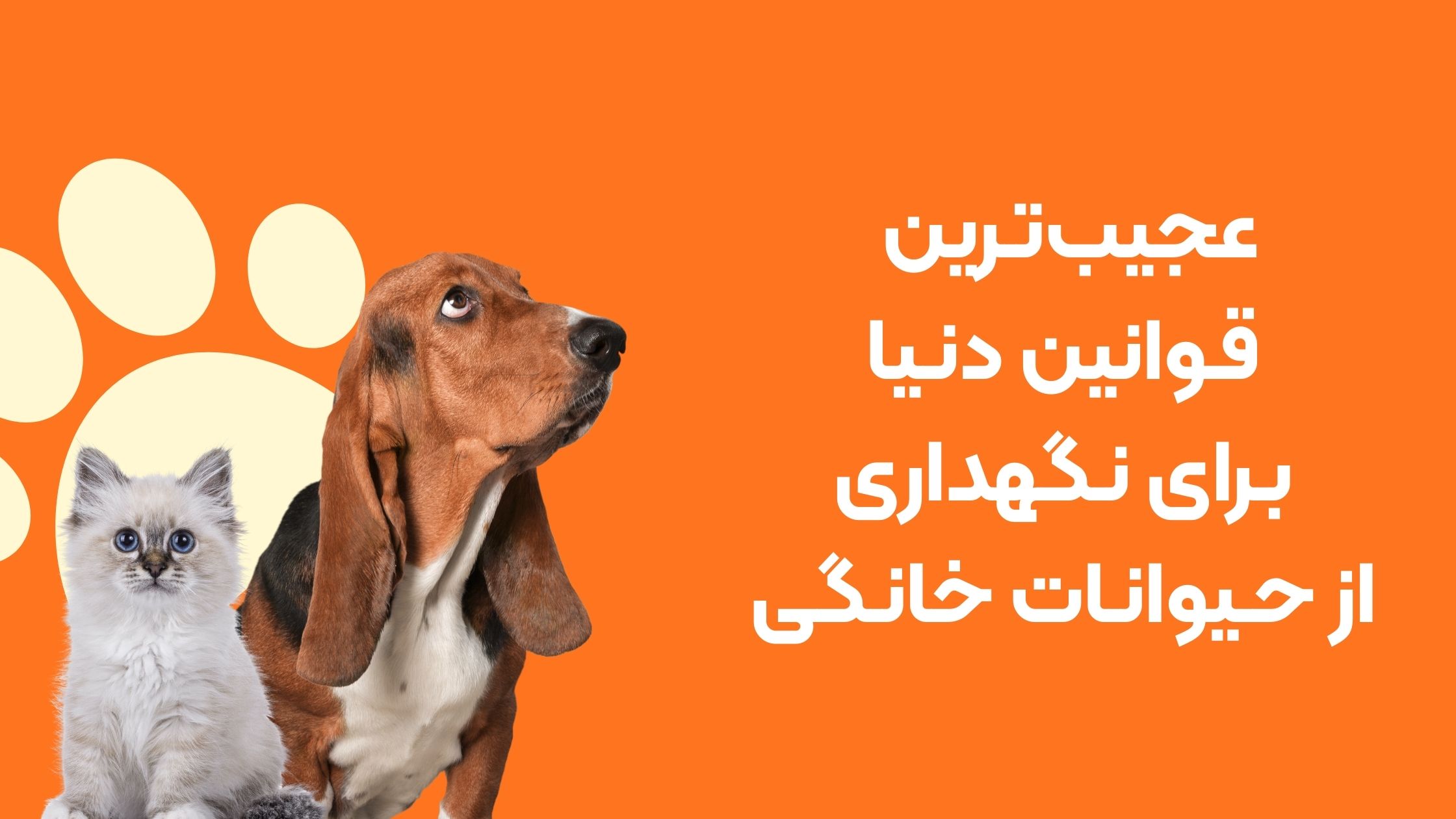 عجیب‌ترین قوانین دنیا برای نگهداری حیوانات خانگی